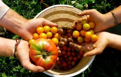 Is biologische voeding echt zo gezond?