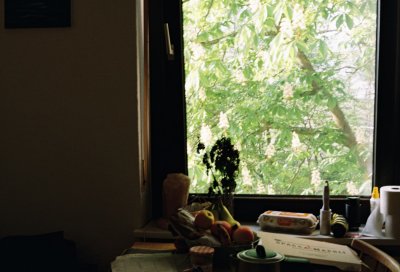 Een ei per dag scheelt een kwart alzheimerrisico